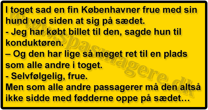Københavner fruen i toget