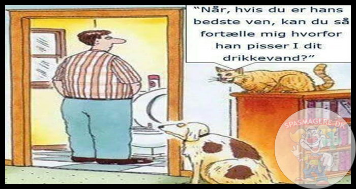 Bedste ven