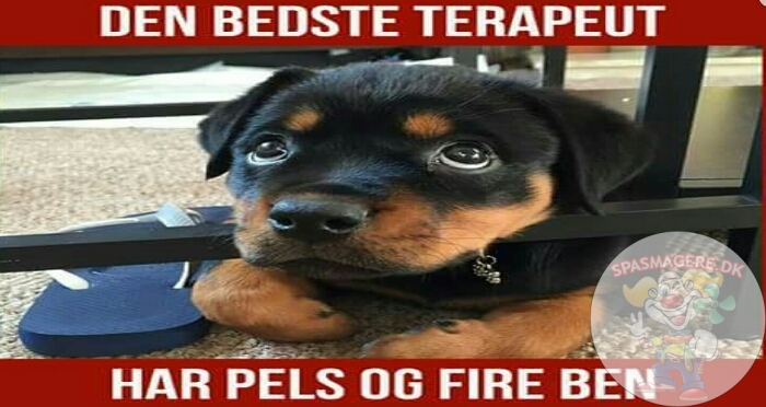 Den bedste terapeut