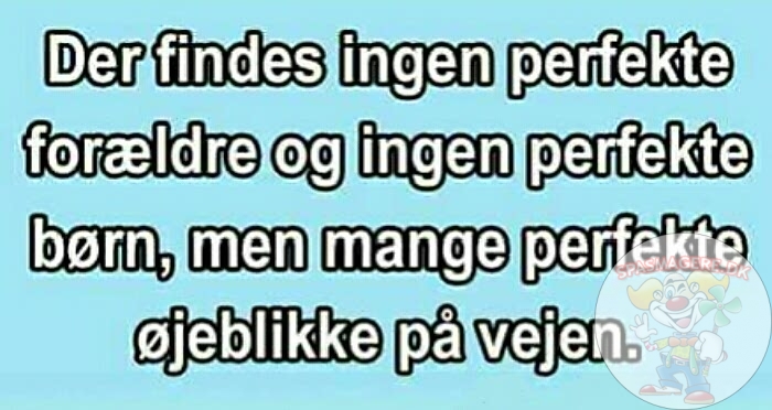 Der findes ingen perfekte forældre