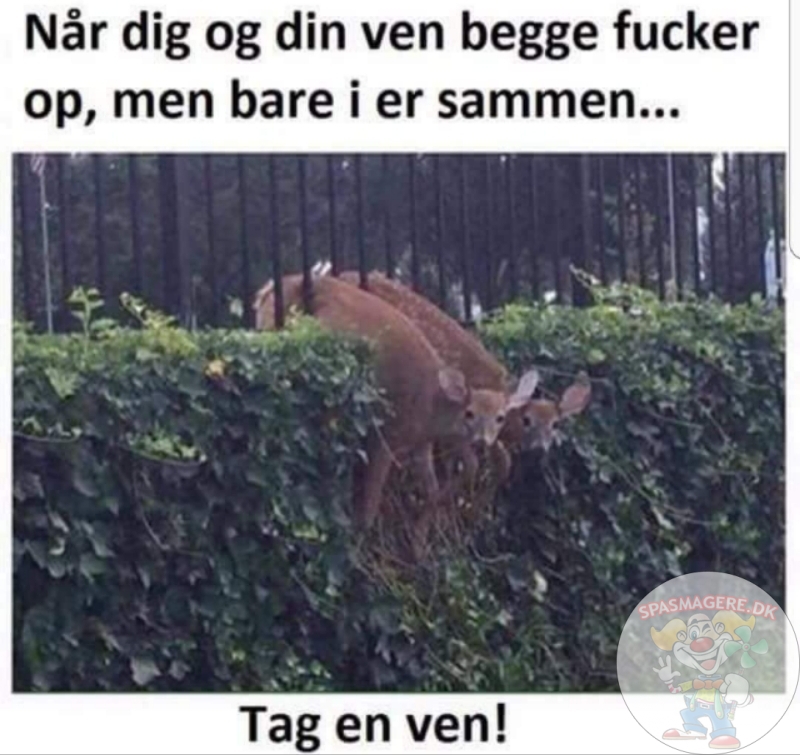 Dig og din ven