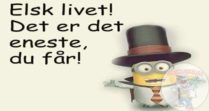 Elsk livet