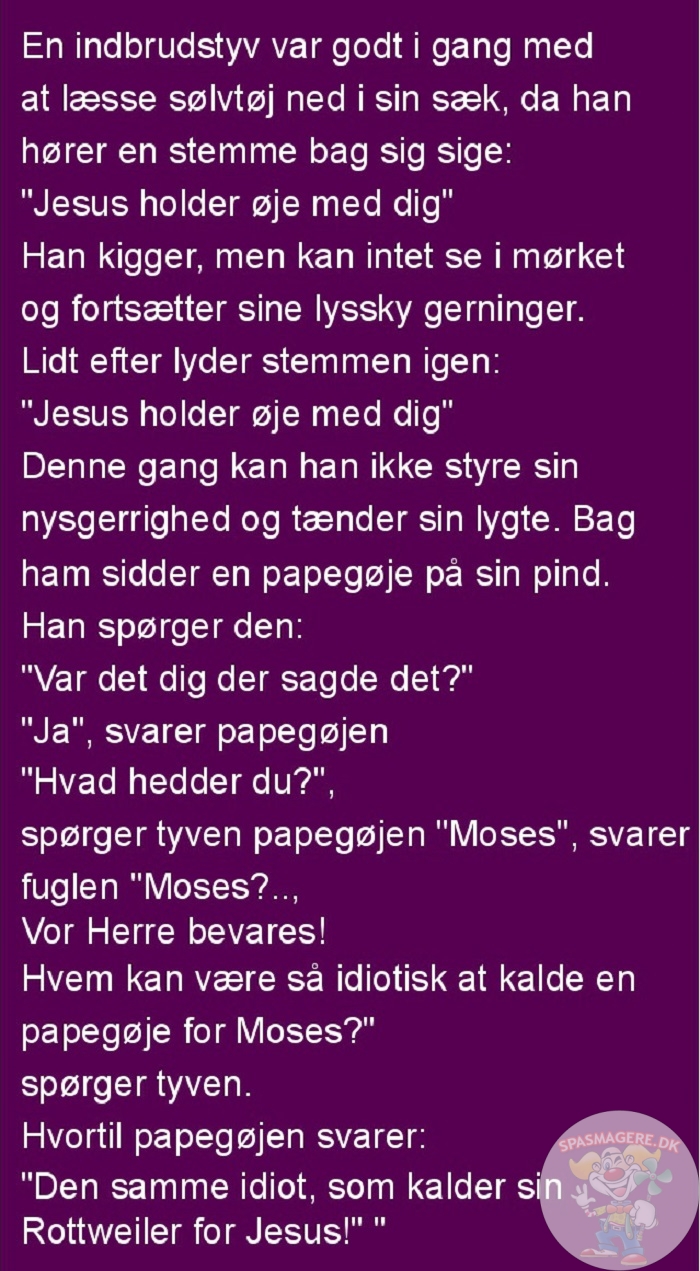 En indbrudstyv var godt igang