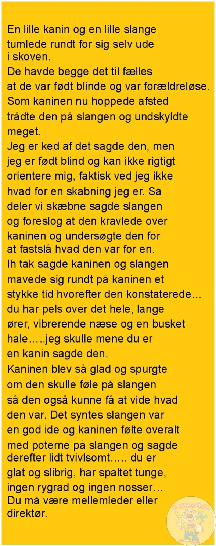 En lille kanin og en lille slange