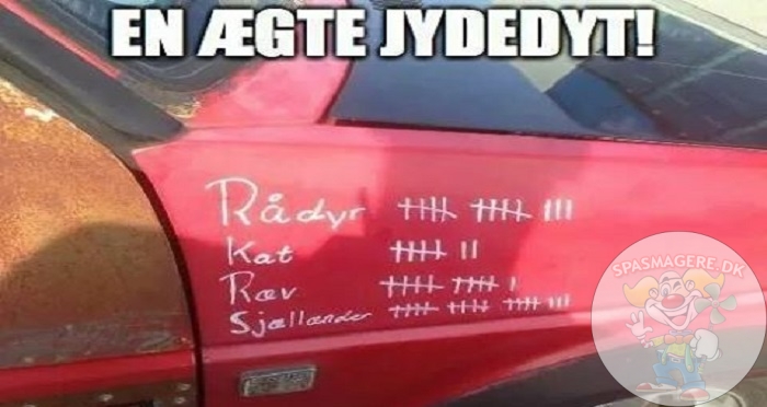 En ægte jydedyt