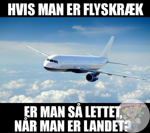 Flyskræk