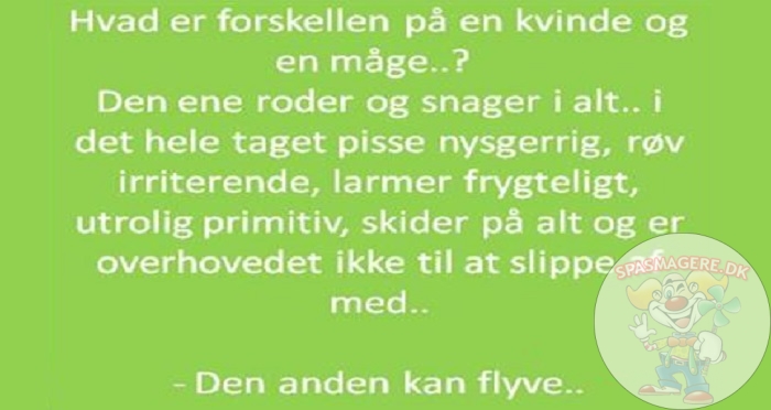 Forskellen på en kvinde og en måge
