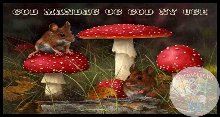 God mandag