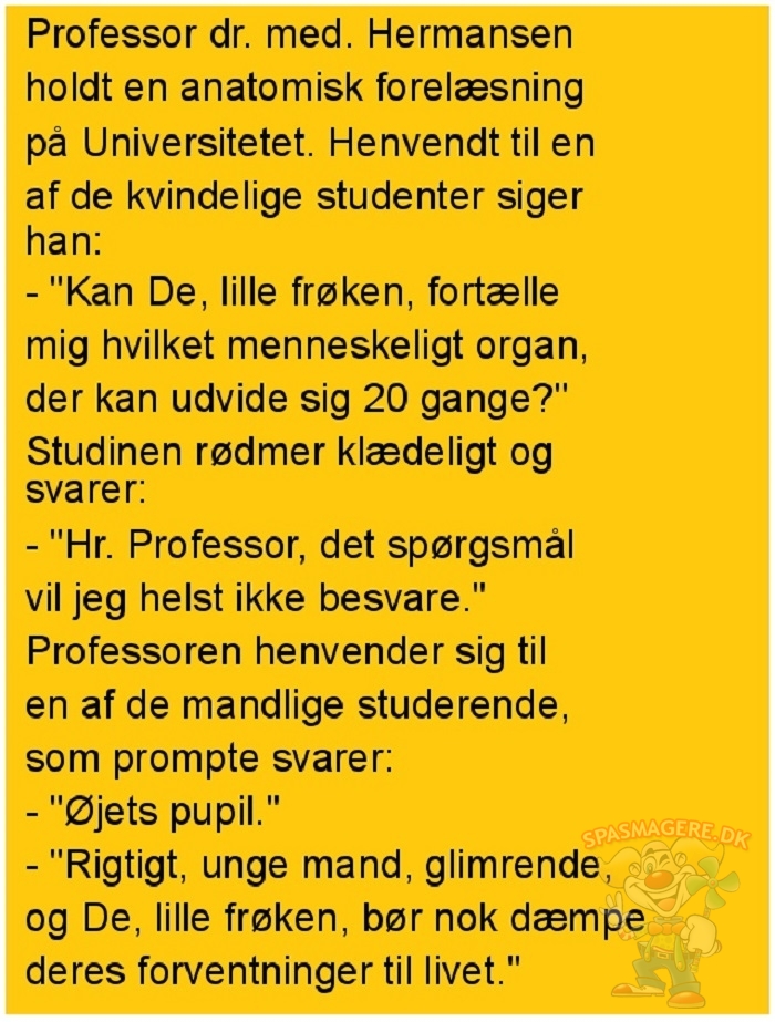 Professor dr. med. Hermansen