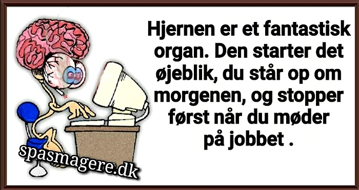 Hjernen