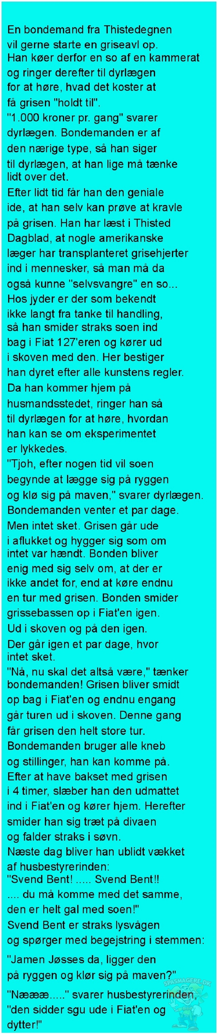 En bondemand fra Thistedegnen